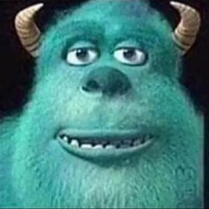 Meet your Posher, Sidney